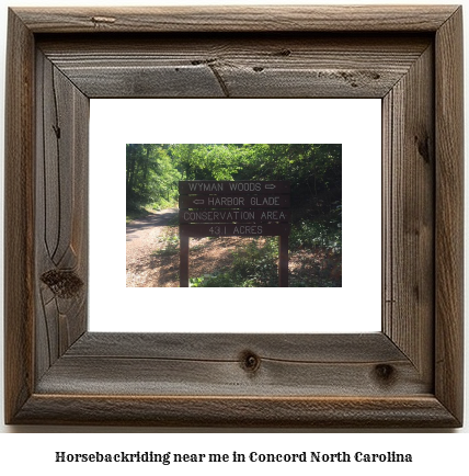 horseback riding near me in Concord, North Carolina